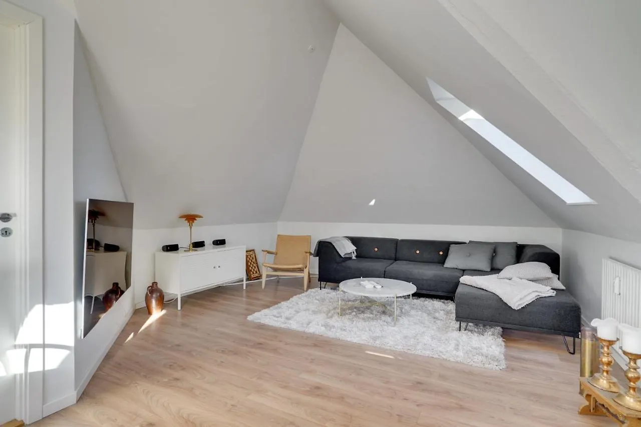 Bath Tub Penthouse In The City Aalborg