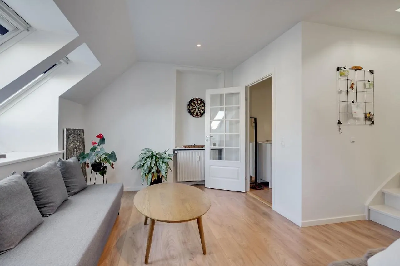Bath Tub Penthouse In The City Aalborg Danmark